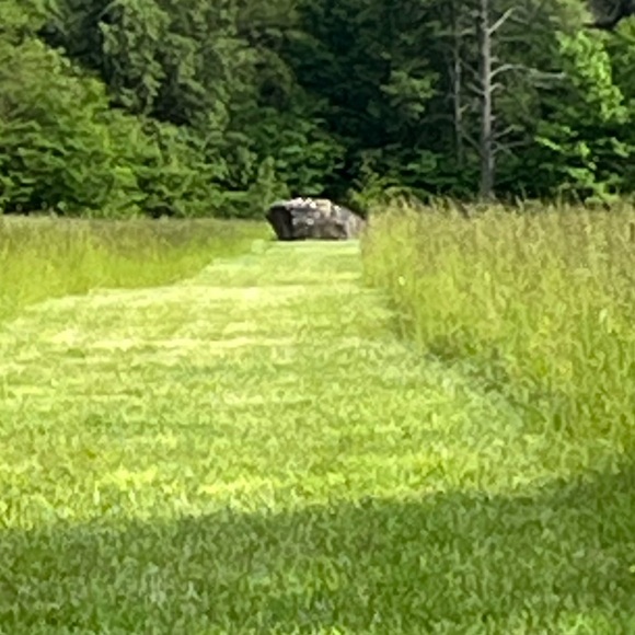 Let Us NOT Forget 🇺🇸 - Picture 9 of 12